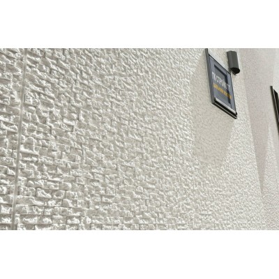 Купить Фиброцементные панели Коношима ORA157H7385R, 1,38м2