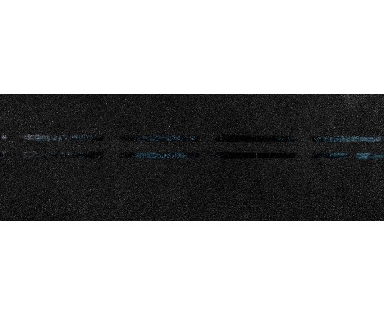 Коньково-карнизная черепица  Евразия Черный Деке Комплектующие к ГЧ