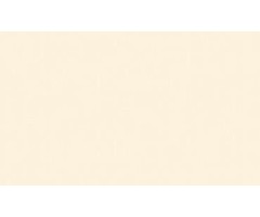 G 9907 светло-бежевый композитная панель