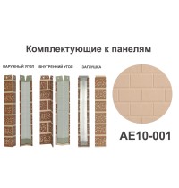 AE10-001 Заглушка