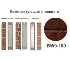 BW9-100 Заглушка