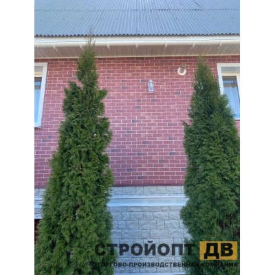 Купить Берг Рубиновый  0,44м2 Деке фасадная панель