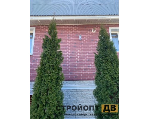 Купить Берг Рубиновый  0,44м2 Деке фасадная панель